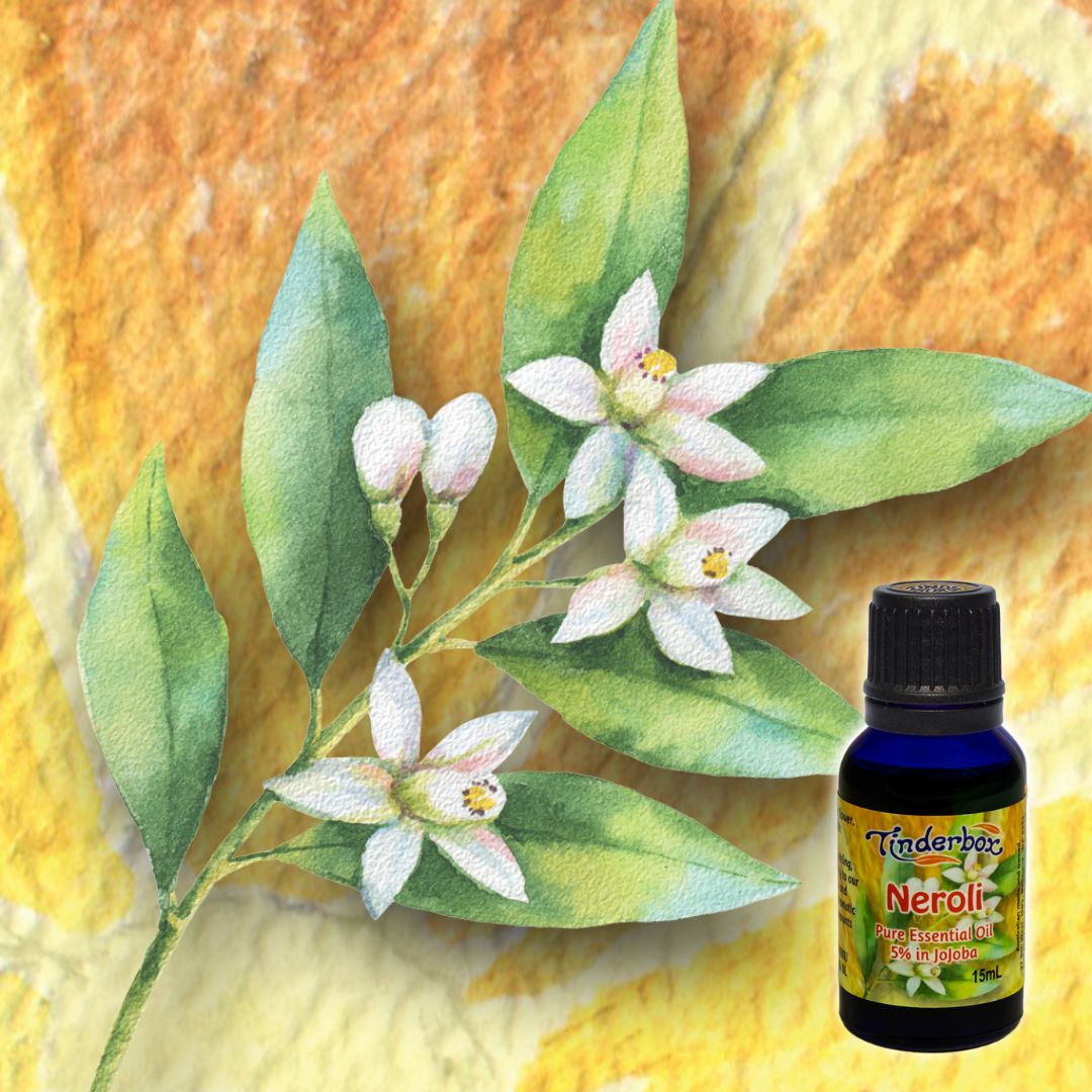 Spotlight On: Neroli Oil
