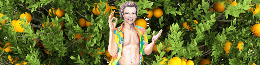 Herb: Burdock | Essential oil: Orange