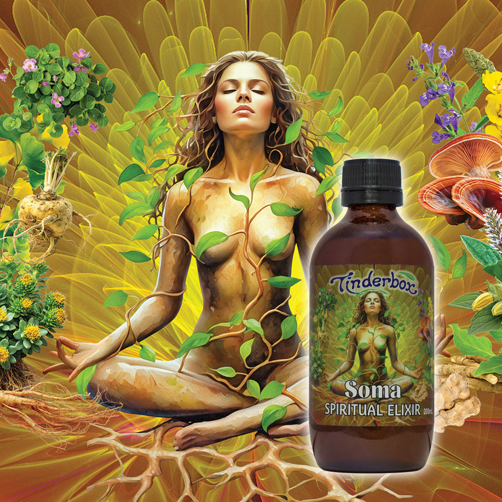 Spotlight On: Soma - Spiritual Elixir