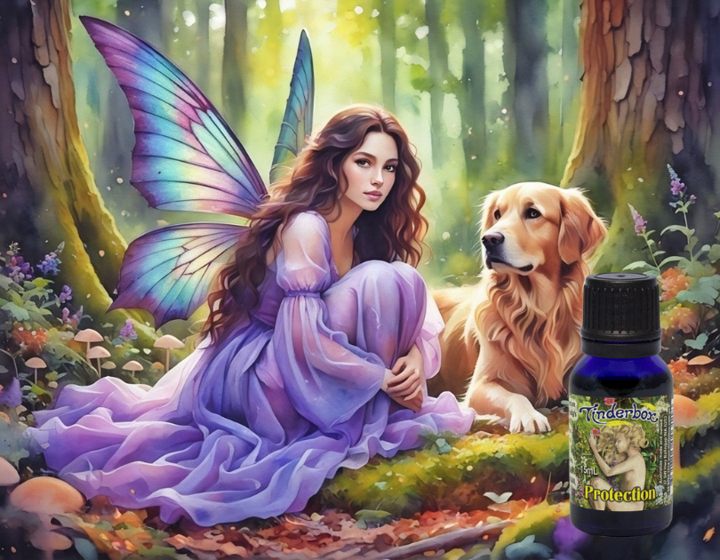 Spotlight On: Protection Essential Oils