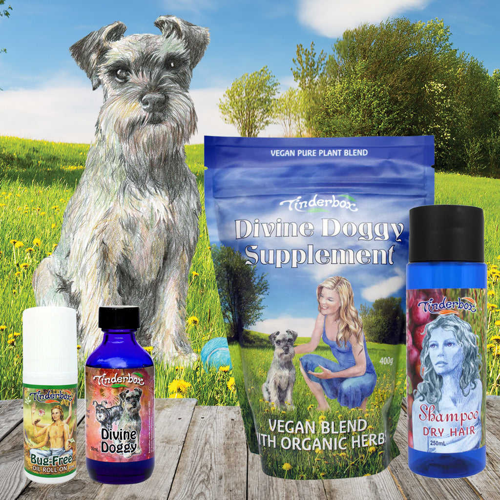 Dog Care Gift Box