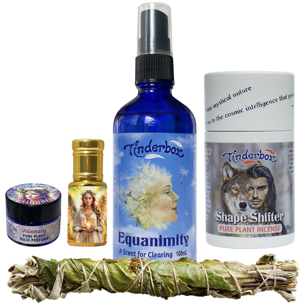 The Shamanic Toolbox