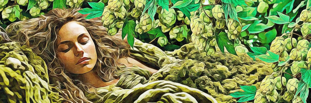 Hops