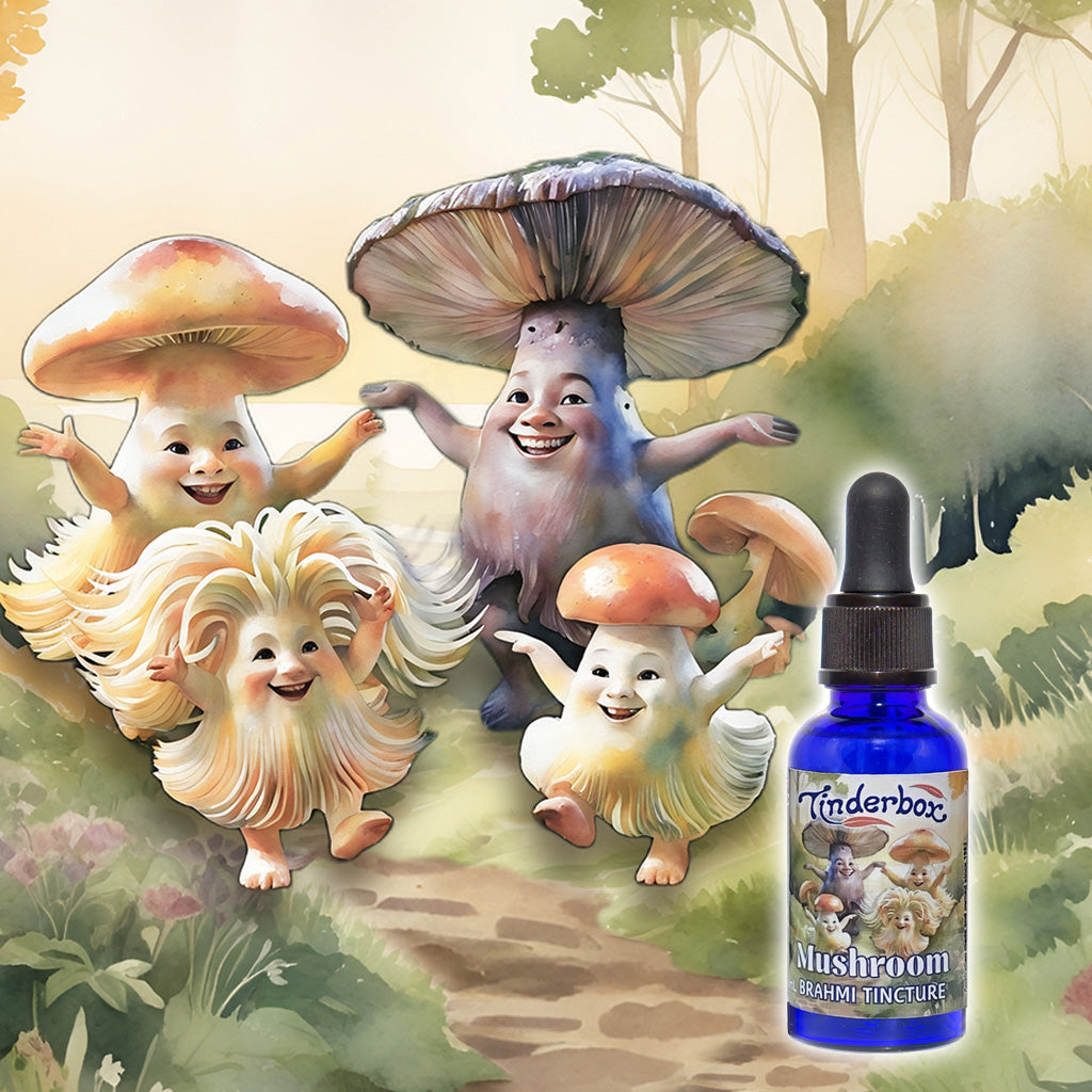 Spotlight On: Mushroom Brahmi Tincture