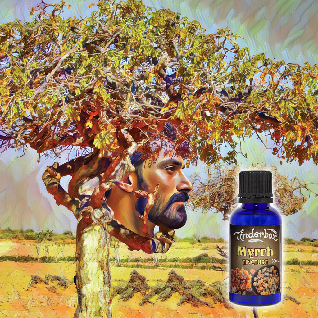Spotlight On: Myrrh Tincture