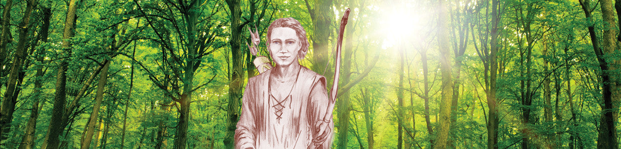 Herb: Maca