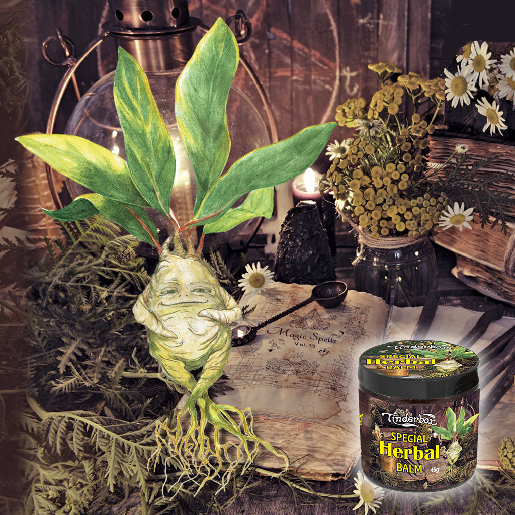 Spotlight On: Special Herbal Balm