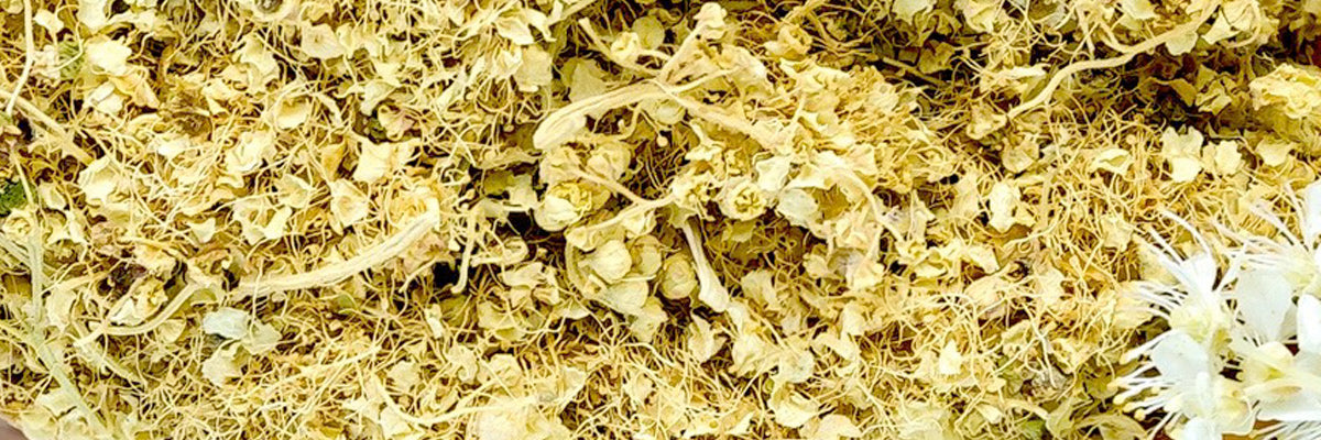 Herb: Meadowsweet