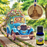 Divine Car Kit