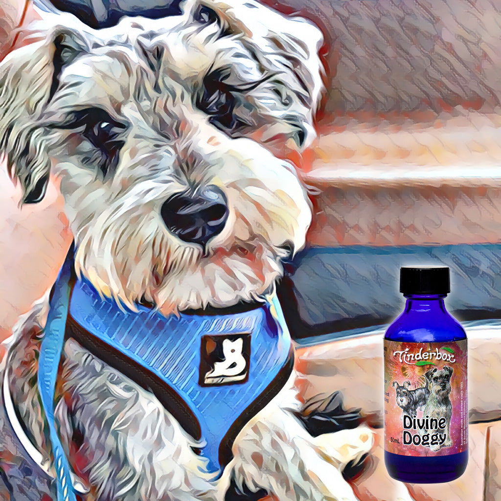 Divine Doggy Blend 50mL