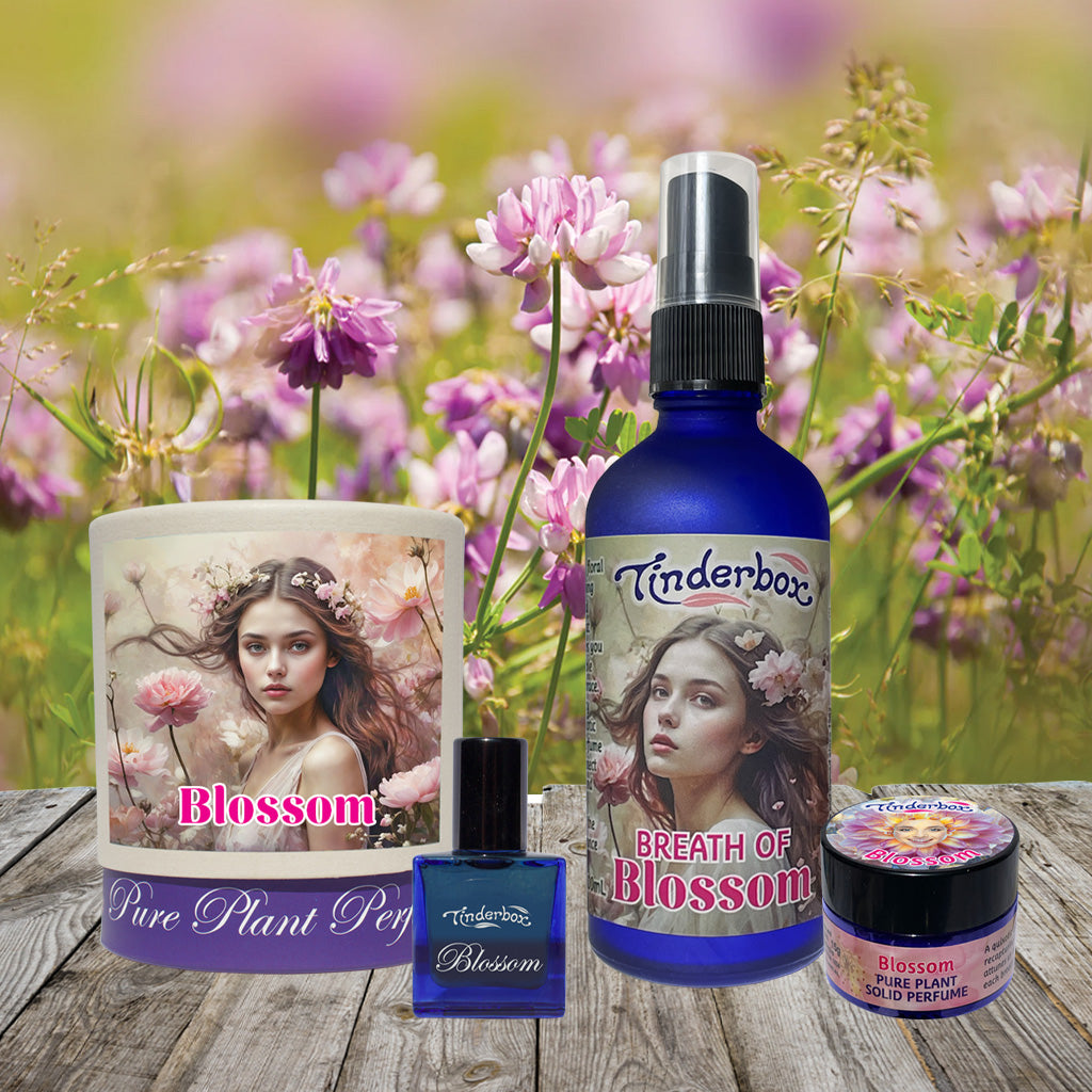 Blossom Perfume Gift Box