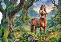 The Shamanic Toolbox