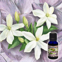 Jasmine Absolute 5% 15mL