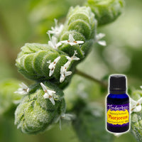 Marjoram Essential Oil 15mL