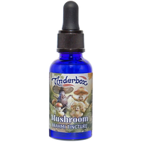 Mushroom Brahmi Tincture 30mL
