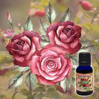 Rose Absolute 5% 15mL