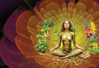 Soma Spiritual Elixir 200mL