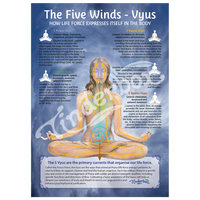 Yoga Posters - Collection of Ten