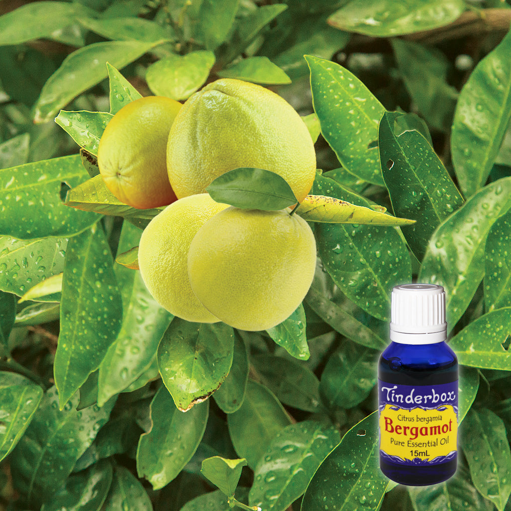 Bergamot Essential Oil 15mL