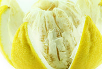 Bergamot Essential Oil 15mL