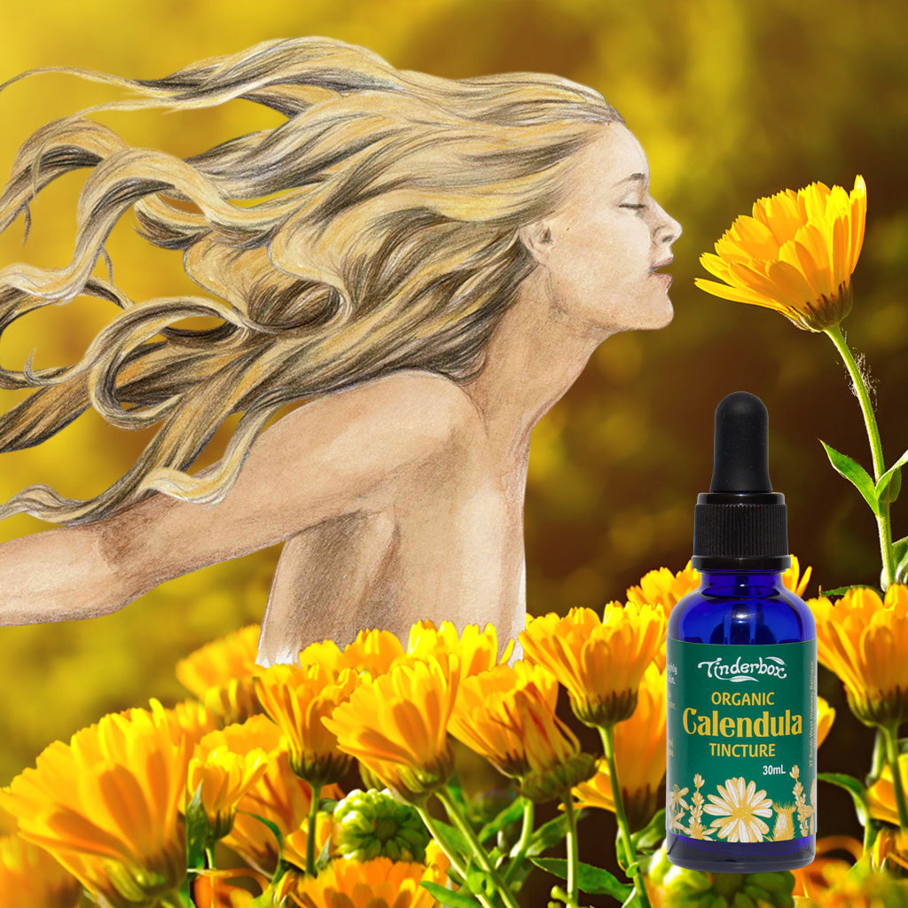 Calendula Tincture 30mL