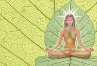 Chakra Companion, Third Edition (116 pages)