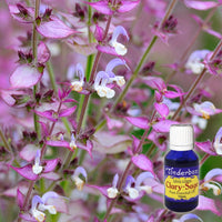 Clary Sage Essential Oil 15mL