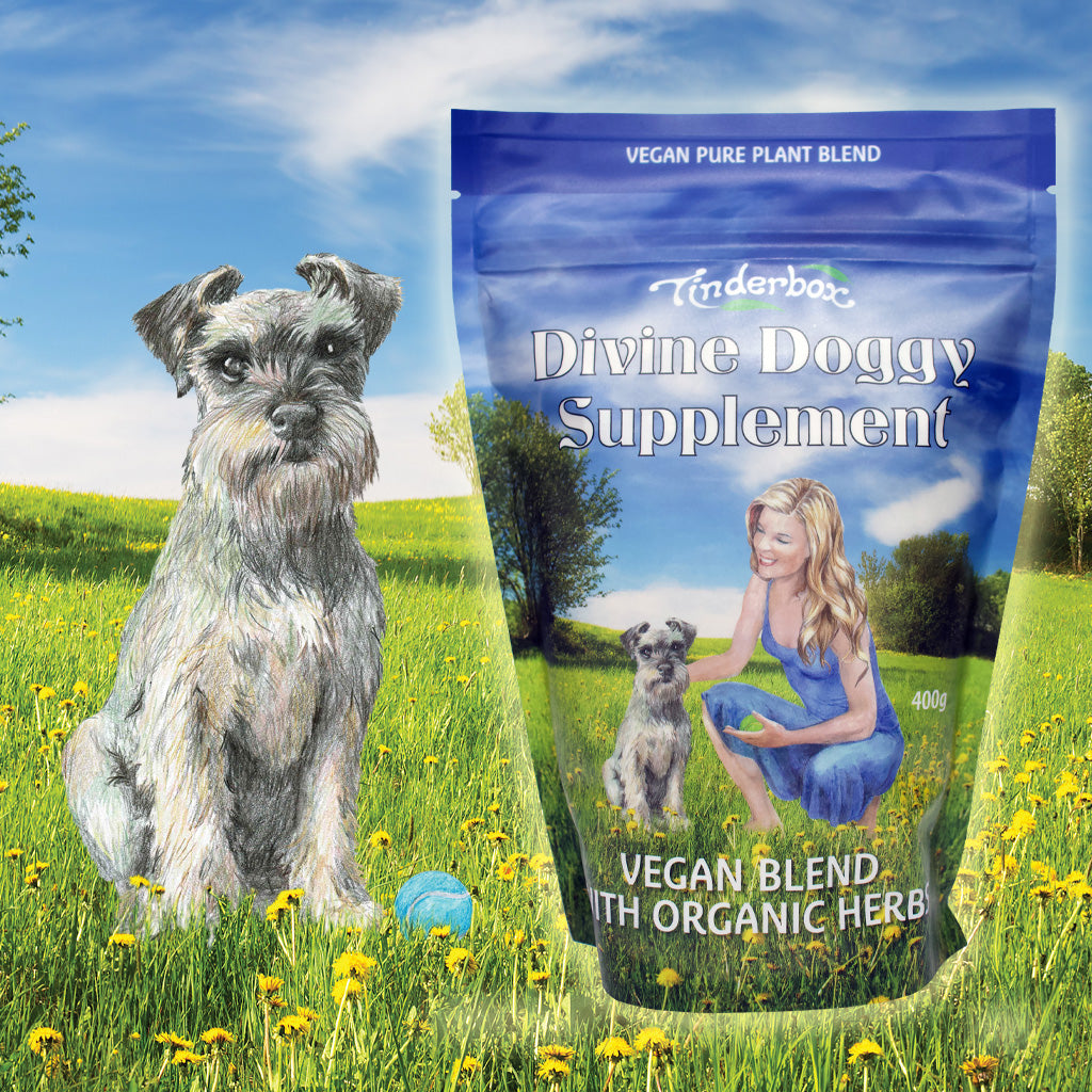 Divine Dog Organic Supplement