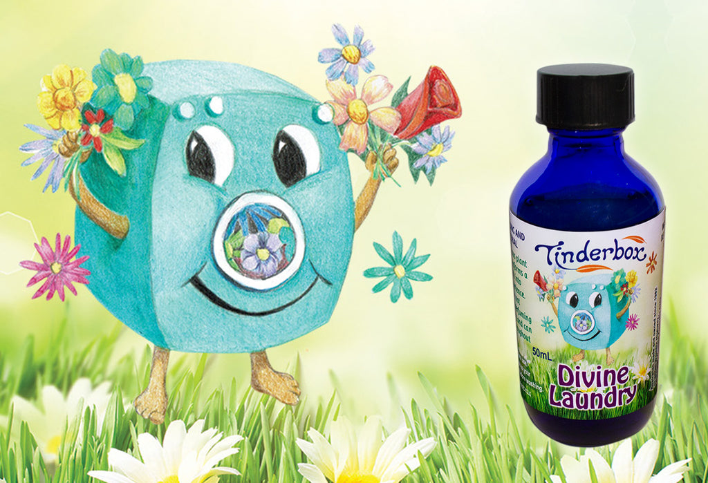 Divine Laundry Blend 50mL