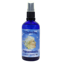 Equanimity - A scent for clearing 100mL