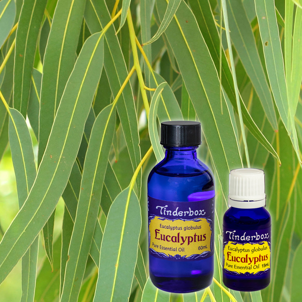 Eucalyptus Essential Oil