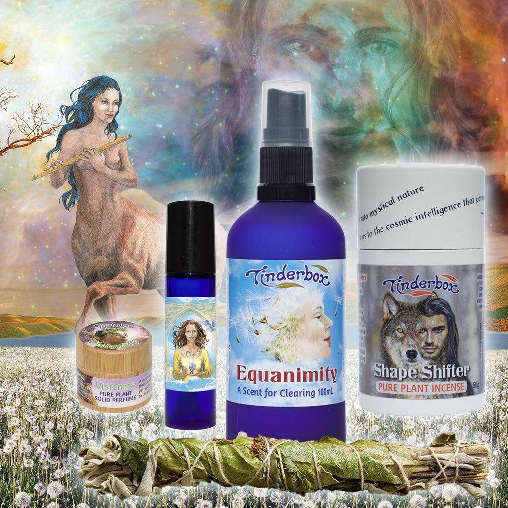 The Shamanic Toolbox