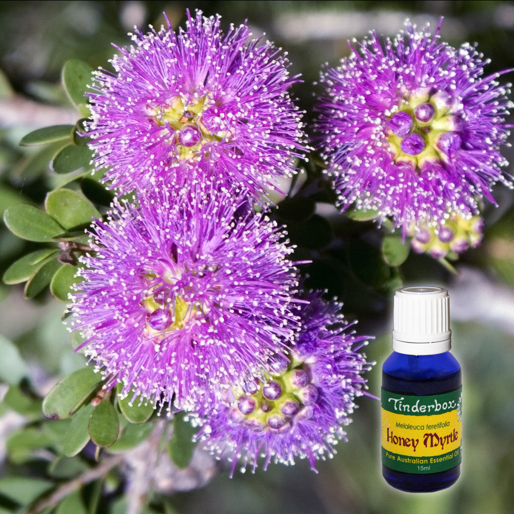 Honey Myrtle Essential Oil 15mL