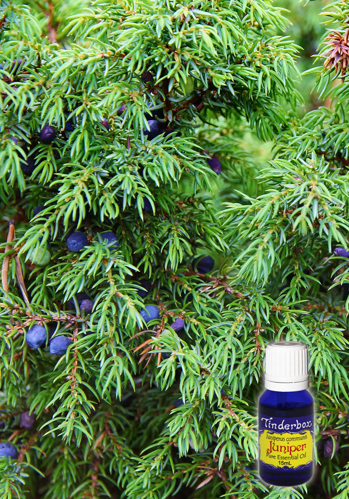 Juniper Berry Essential Oil 15mL