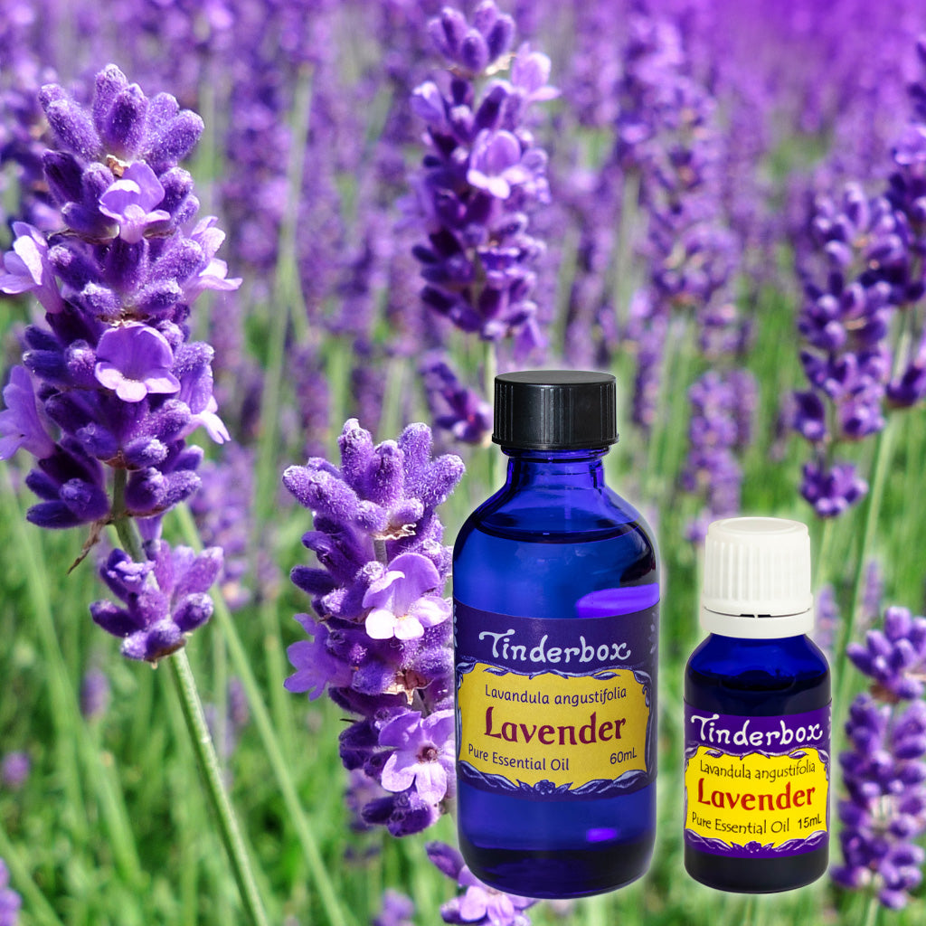 Lavender angustifolia Essential Oil