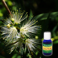 Lemon Myrtle Essential Oil 15mL