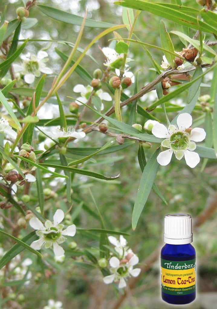 Lemon Tea-Tree Essential Oil 15mL