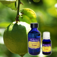 Lime Essential Oil