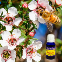 Manuka Essential Oil 15mL