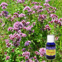 Oregano Essential Oil 15mL