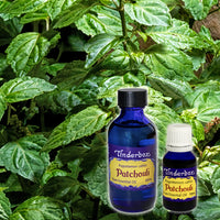 Patchouli Essential Oil