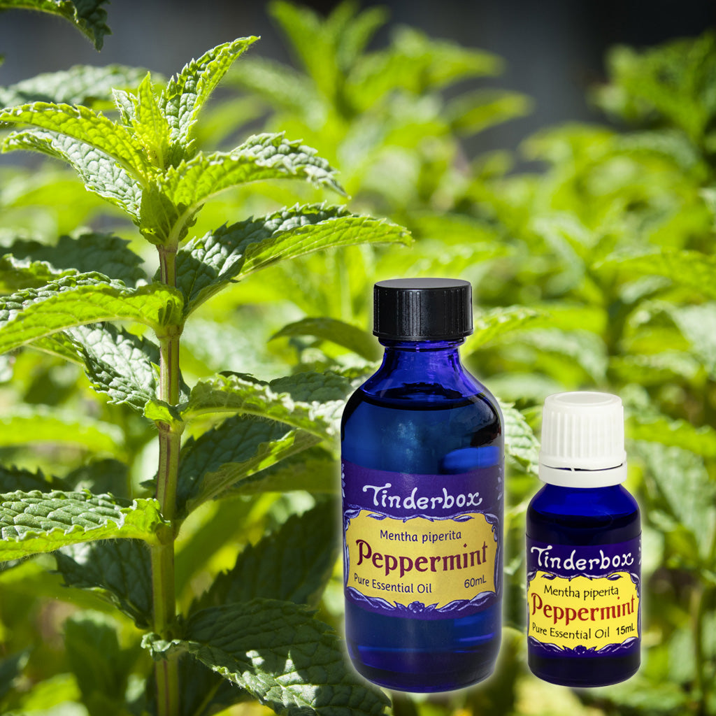 Peppermint Essential Oil