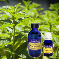 Peppermint Essential Oil