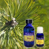 Pine Essential Oil