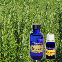 Rosemary Essential Oil