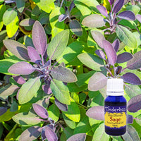 Sage Essential Oil 15mL