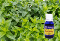 Spearmint Essential Oil 15mL