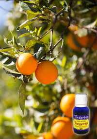 Tangerine Essential Oil 15mL