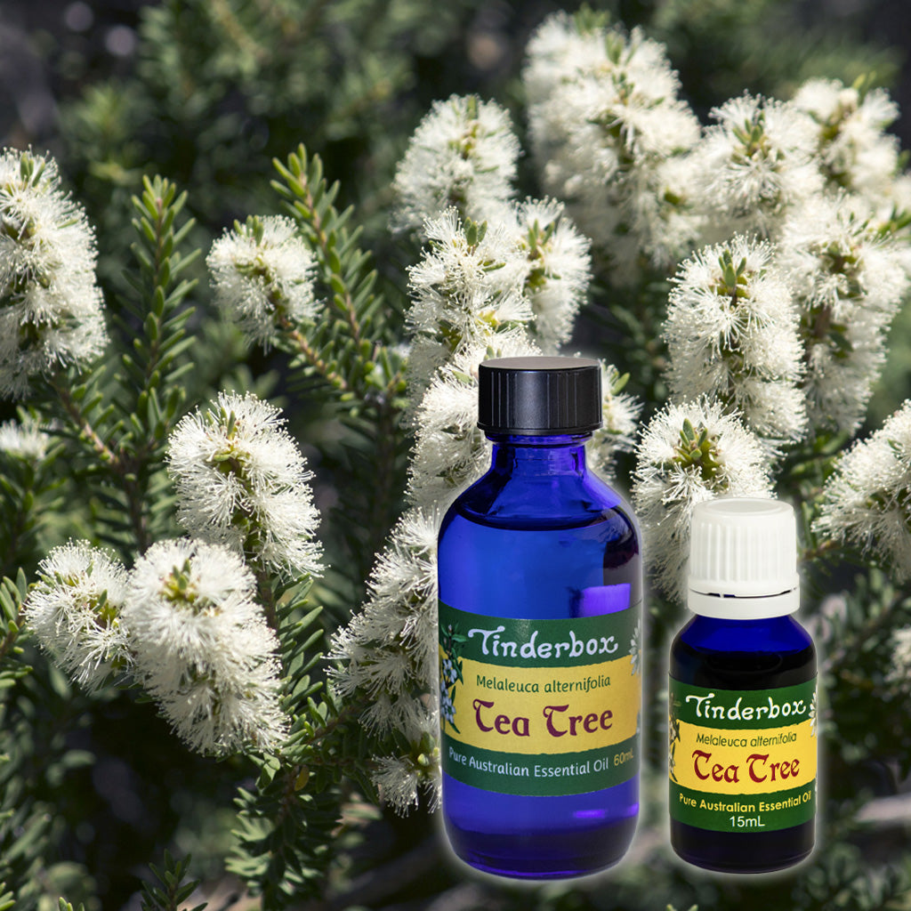 Tea-Tree Essential Oil Australian