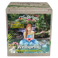 Wellspring Protective Herbal Tea 75g